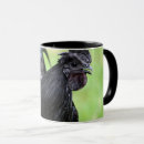 Search for black rooster mugs Bird
