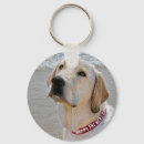 Search for fathers day key rings Dog