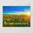 Search for kansas state postcards Sunflower