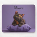 Search for tortoiseshell electronics Kitten