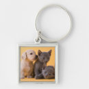 Search for puppies key rings Kitten