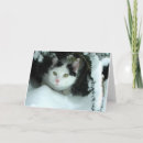 Search for bushs christmas cards Snow