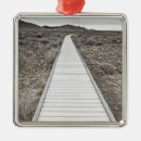 Search for arid christmas tree decorations Desert