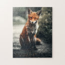 Search for fox hunting Red
