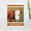 Search for cow get well cards Farm