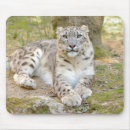 Search for chatting mousepads Cute