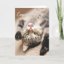 Search for cat graduation cards Kitten