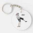 Search for secretary key rings Sagittarius serpentarius