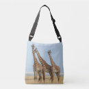 Search for reserves accessories Safari