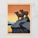 Search for wpa postcards Parks