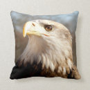 Search for eagle cushions Bird of prey