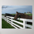 Search for bluegrass posters Kentucky