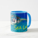 Search for swimming turtles mugs Diving