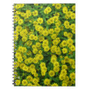 Search for pretty notebooks Photograph