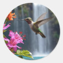 Search for hummingbirds stickers Flying