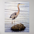 Search for great blue art National