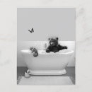 Search for cub postcards Bear