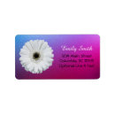 Search for pink daisy return address labels Flower