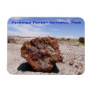 Search for national forest Desert