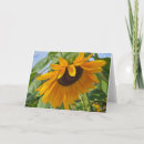 Search for sadness cards Thinking of you