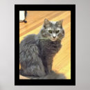 Search for maine coon cat art Animals