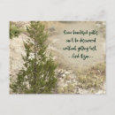 Search for realist postcards Tree