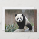 Search for giant thank you cards China