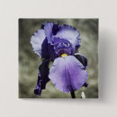 Search for purple iris badges Petals