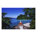 Search for to greg posters Caribbean sea