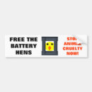 Search for hen bumper stickers Animals