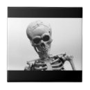 Search for skeletons tiles Skull