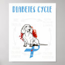 Search for life cycle posters Diabetic