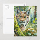 Search for lush green postcards Forest