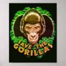 Search for gorilla gorilla posters Conservation