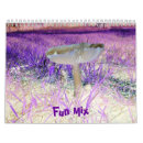 Search for fun calendars Design