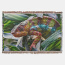 Search for chameleon blankets Reptile