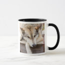 Search for sled dogs mugs Husky