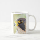 Search for falconer mugs Hawk