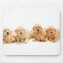 Search for golden retriever mousepads Animal