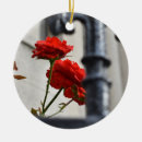 Search for red rose christmas tree decorations Photography