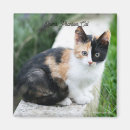 Search for funny movie magnets Cat