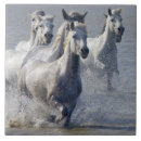 Search for wild west tiles Pictures of horses
