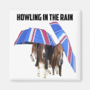 Search for raining magnets Dogs