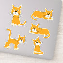 Search for ginger kitten stickers Tabby