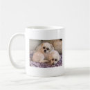Search for cute shih tzu mugs Shitzu