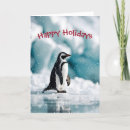 Search for penguin christmas cards Iceberg
