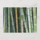 Search for rob postcards Kyoto