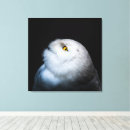 Search for owl paintings canvas prints Snow