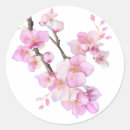Search for watercolor cherry blossoms stickers Pink flowers