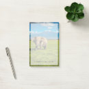 Search for tanzania Ngorongoro conservation area